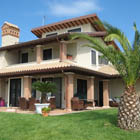 acanthus italia