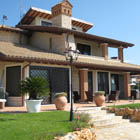 acanthus italia