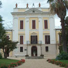 acanthus italia