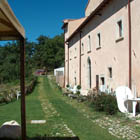 acanthus italia